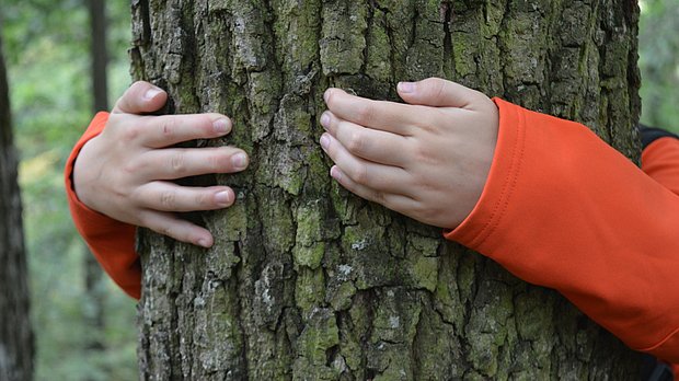 Kinderhände umarmen Stamm eines Baumes
