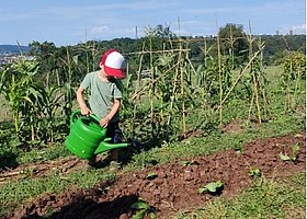 kleines Kind mit Cap gießt mit einer grünen Gießkanne Jungpflanzen auf einem Gemüsebeet