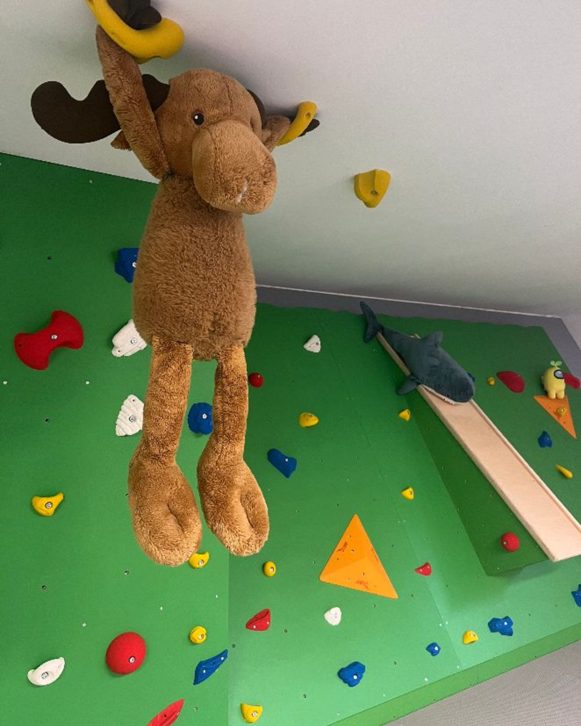 Plüschtier-Elch hängt an einer Kletterwand